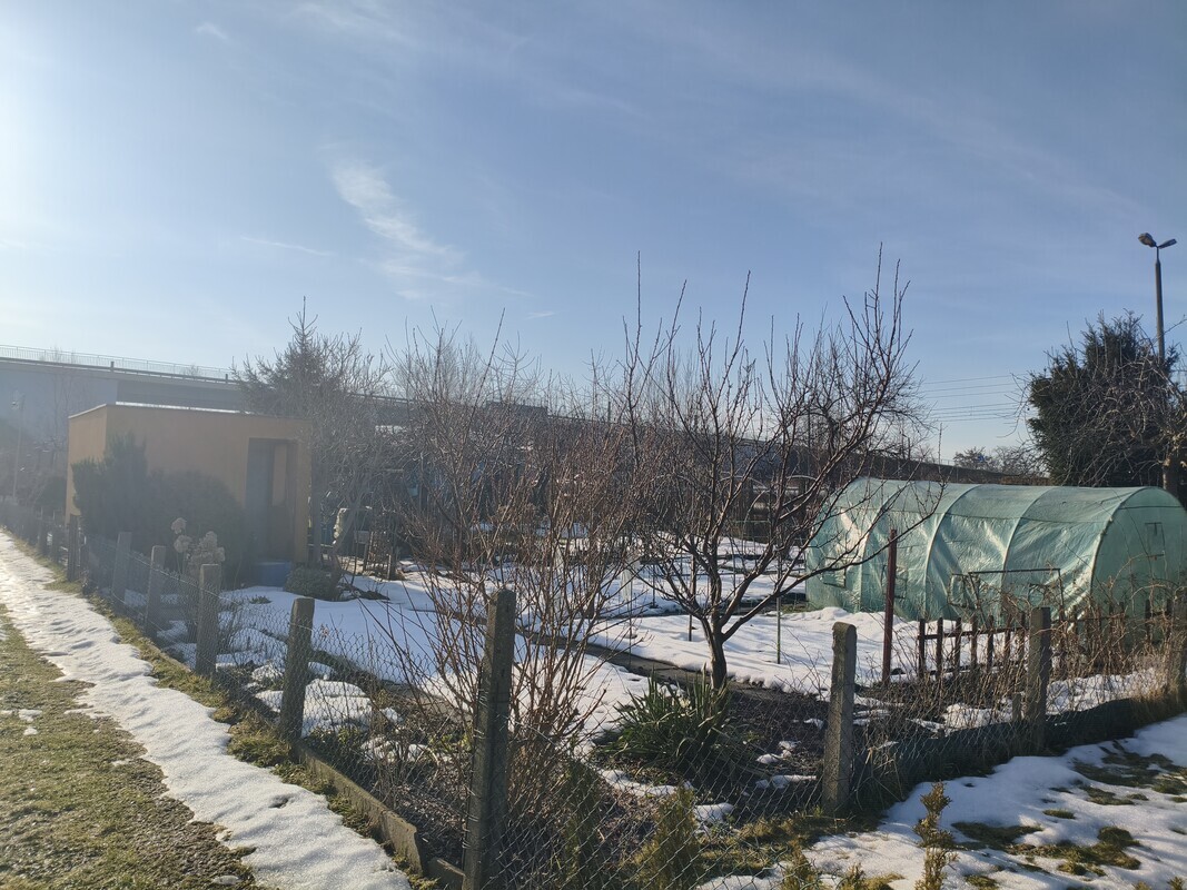 Elbląg 🌿 Twój zielony azyl w mieście! Wyjątkowa działka ROD przy ul. Druskiej na sprzedaż! 🏡