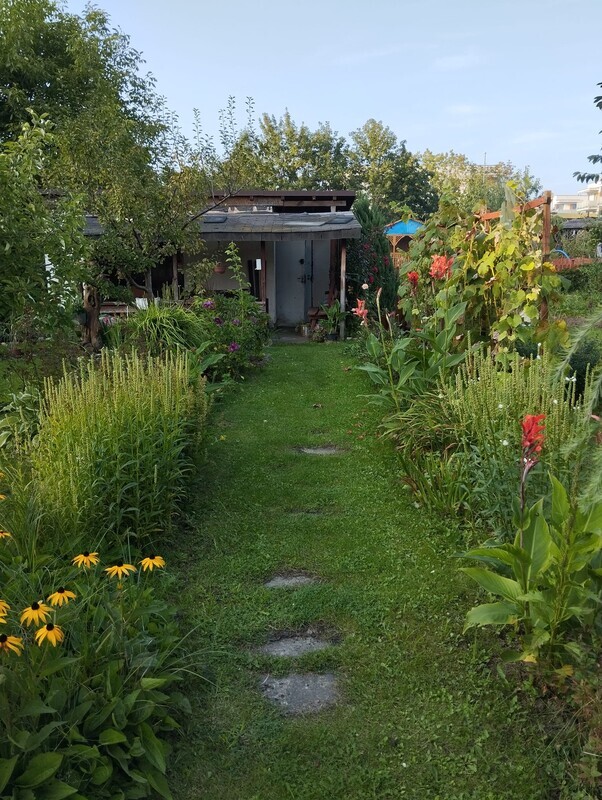 Elbląg Działka ogrodowa ROD Bratek, ogródek działkowy Elbląg