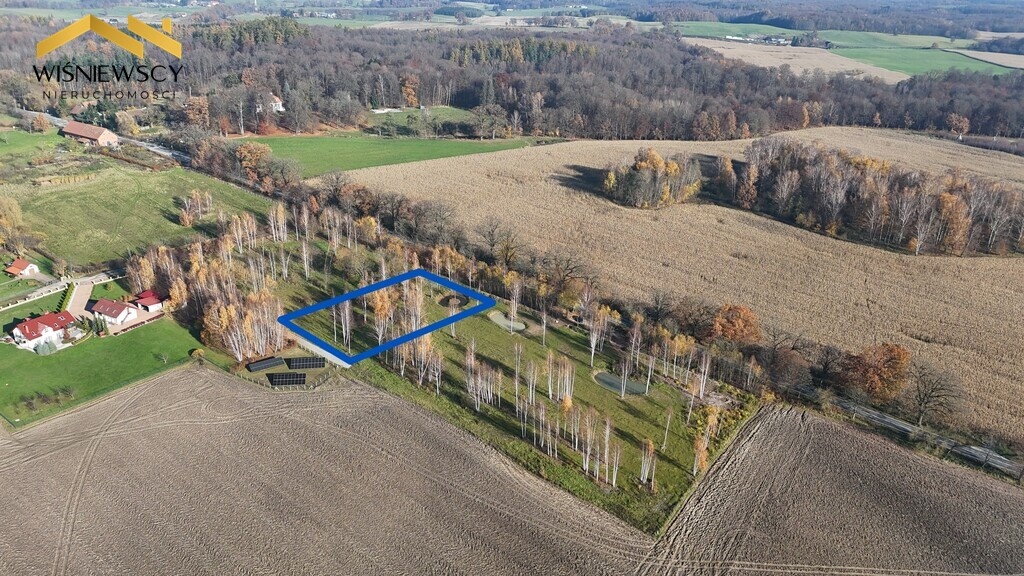 Elbląg WIŚNIEWSCY NIERUCHOMOŚCI Sp. z o.o.Sprzedam działkę - Dawidy. Oferta sprzedaży działki rolnej z wydaną