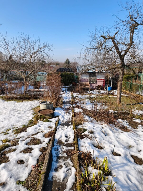 Elbląg 🌳 Sprzedam działkę ROD &ndash; Oaza spokoju blisko miasta! 🌳