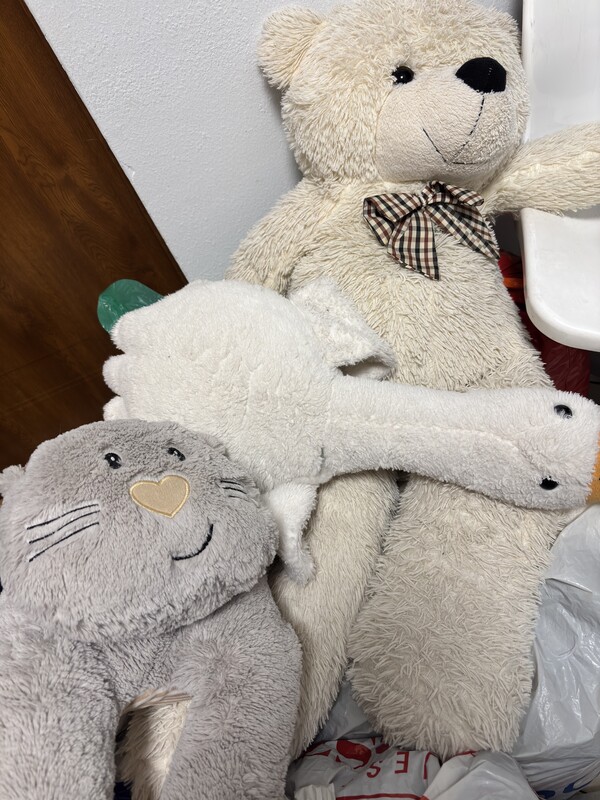 Elbląg Oddam parę pluszaków dla dziecka