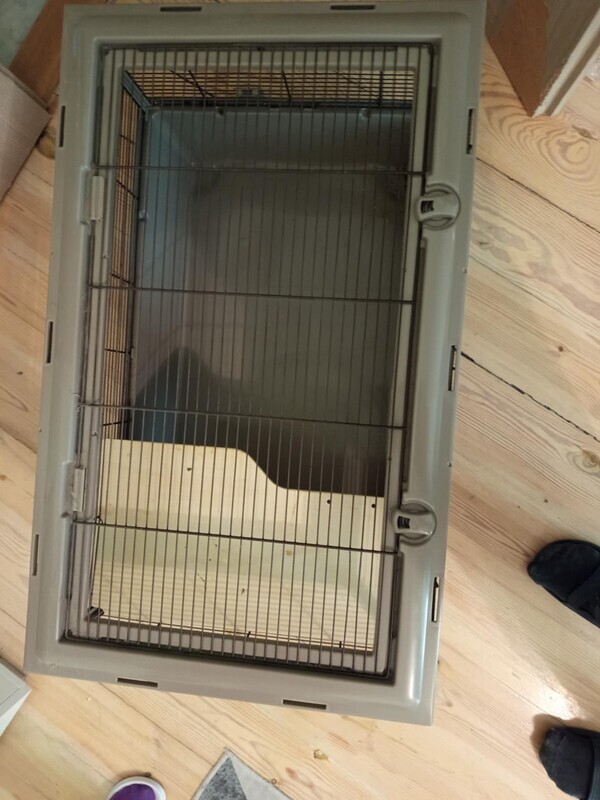 Elbląg Sprzedam klatke o wymiarach 80x47 wysokosc 35 stan bardzo dobry, idealnie nadaje sie dla swinki morskiej,