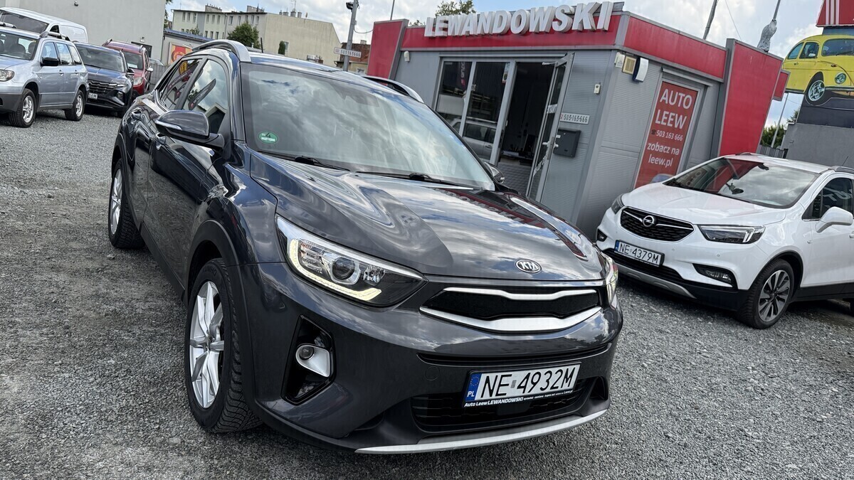 Elbląg Auto Leew LEWANDOWSKI