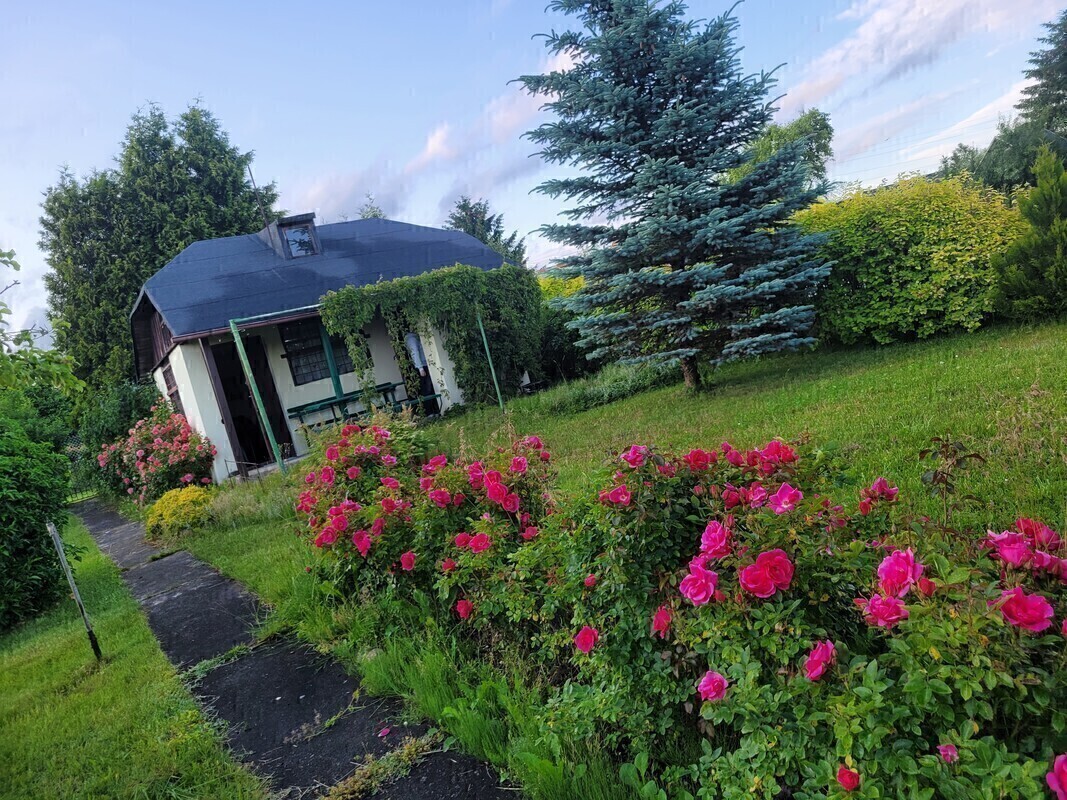 Elbląg Sprzedam zadbaną działkę ogrodniczą&nbsp; w ROD BRATEK 500 m2 (prąd + woda)