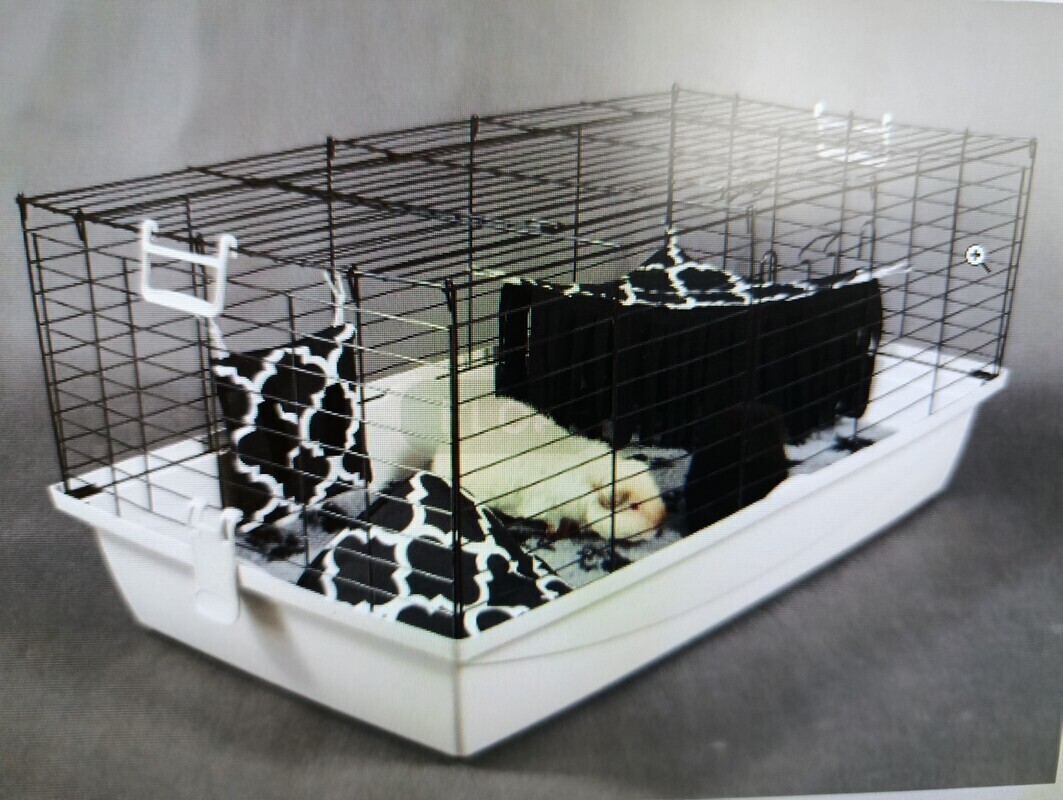 Elbląg Kupię dużą klatkę dla świnki morskiej/królika chętnie z całym wyposażeniem, zdjęcia wraz z ceną poproszę na