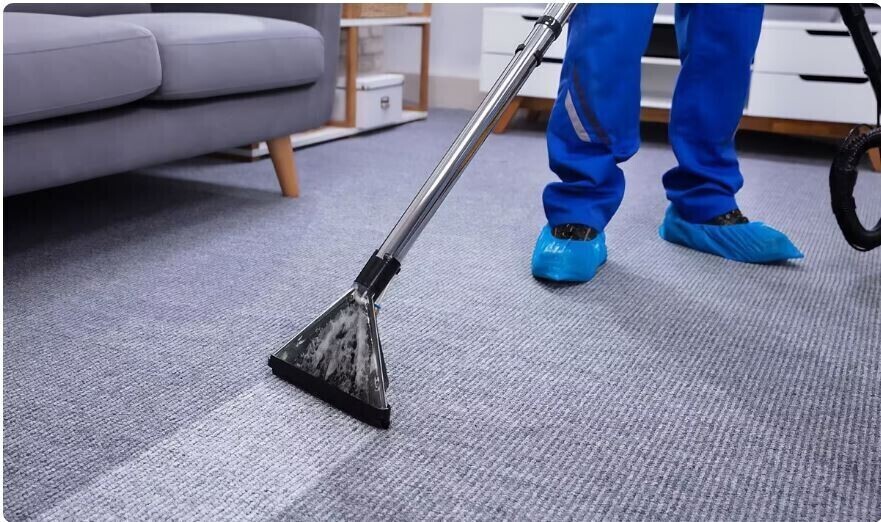 Elbląg 🌟 Profesjonalne czyszczenie dywanów, wykładzin, obić tapicerskich - RITTA Świeżość i blask