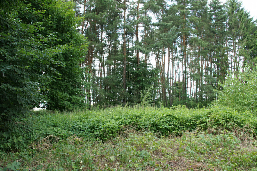 Elbląg DZIAŁKA W GRONOWIE GÓRNYM - NA SPRZEDAŻ