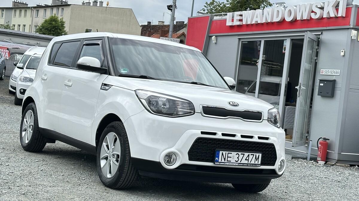 Elbląg Auto LeewLEWANDOWSKI