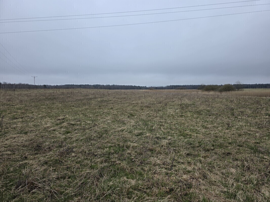 Elbląg MEGA-CONSULT NIERUCHOMOŚCI&nbsp; - WYCENA, SPRZEDAŻ, KUPNO, WYNAJEMOFERUJEGRUNTY ROLNE POŁOŻONE NAD RZEKĄ PASŁĘKĄ