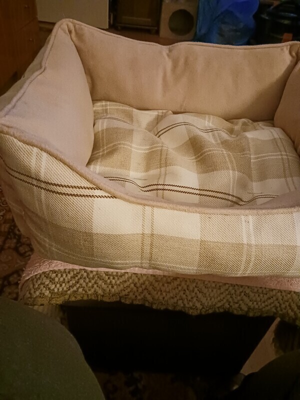 Elbląg Sprzedam legowisko dla psa/kota bardzo mało używane, łatwe w utrzymaniu czystości, dobre gatunkowo. W gratysie