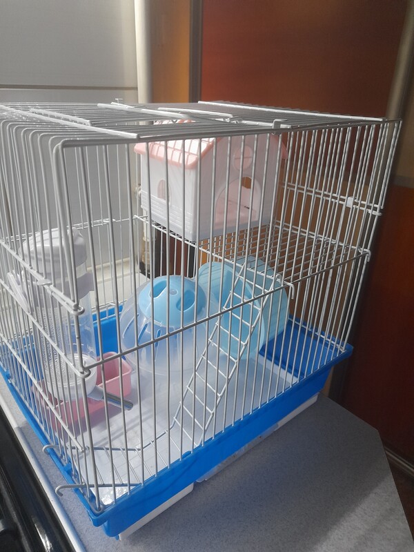 Elbląg Klatka dla gryzonia nowa komplet. dodatkowo kula do zabawy