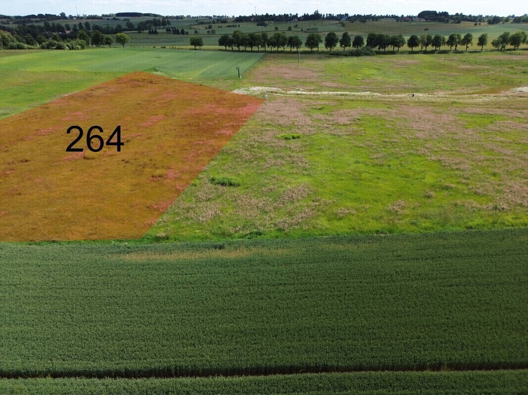 Elbląg NIERUCHOMOŚCI ANNA KRASZEWSKA Działka budowlana o pow.9645 m2 na nowopowstającym osiedlu domów