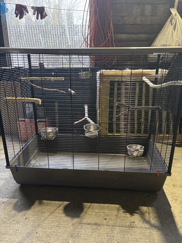 Elbląg Sprzedam klatkę dla papug. Wymiary: długość 1m, szerokość 55 cm, wysokość 85 cm. Stan bardzo dobry. Cena do