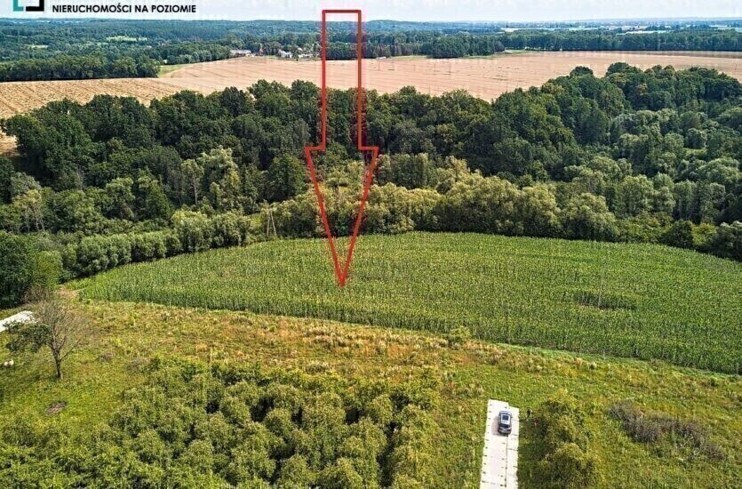 Elbląg LEVEL NIERUCHOMOŚCI Działka z MPZM w Pasłeku Tereny zabudowy mieszkaniowej jednorodzinnej2017