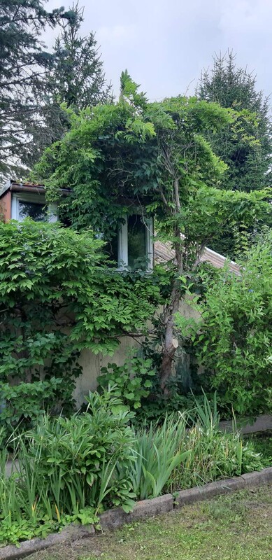 Elbląg Sprzedam ogródek działkowy ROD Słoneczne Wzgórze w Elblągu