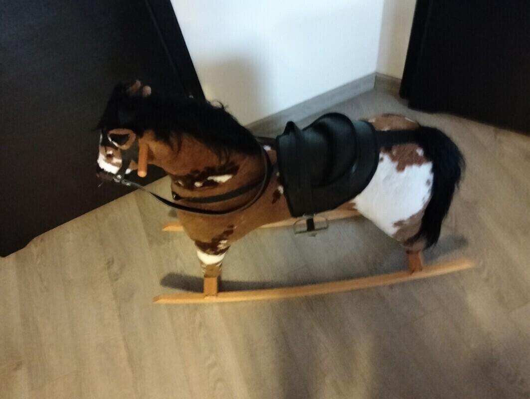 Elbląg Sprzedam konia na biegunach