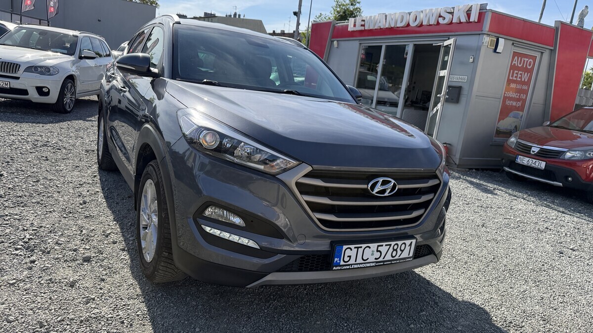 Elbląg &nbsp; &nbsp; &nbsp; &nbsp; &nbsp; &nbsp; &nbsp; &nbsp; &nbsp; &nbsp; Auto&nbsp;Leew&nbsp;LEWANDOWSKI&nbsp;