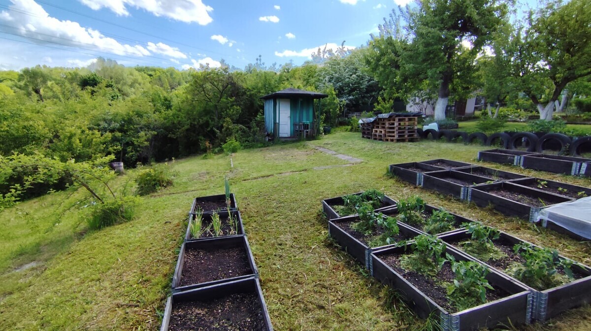 Elbląg Na sprzedaż działka ROD im. A. Mickiewicza ul. Działkowa o powierzchni 283 m&sup2;, położona przy lesie