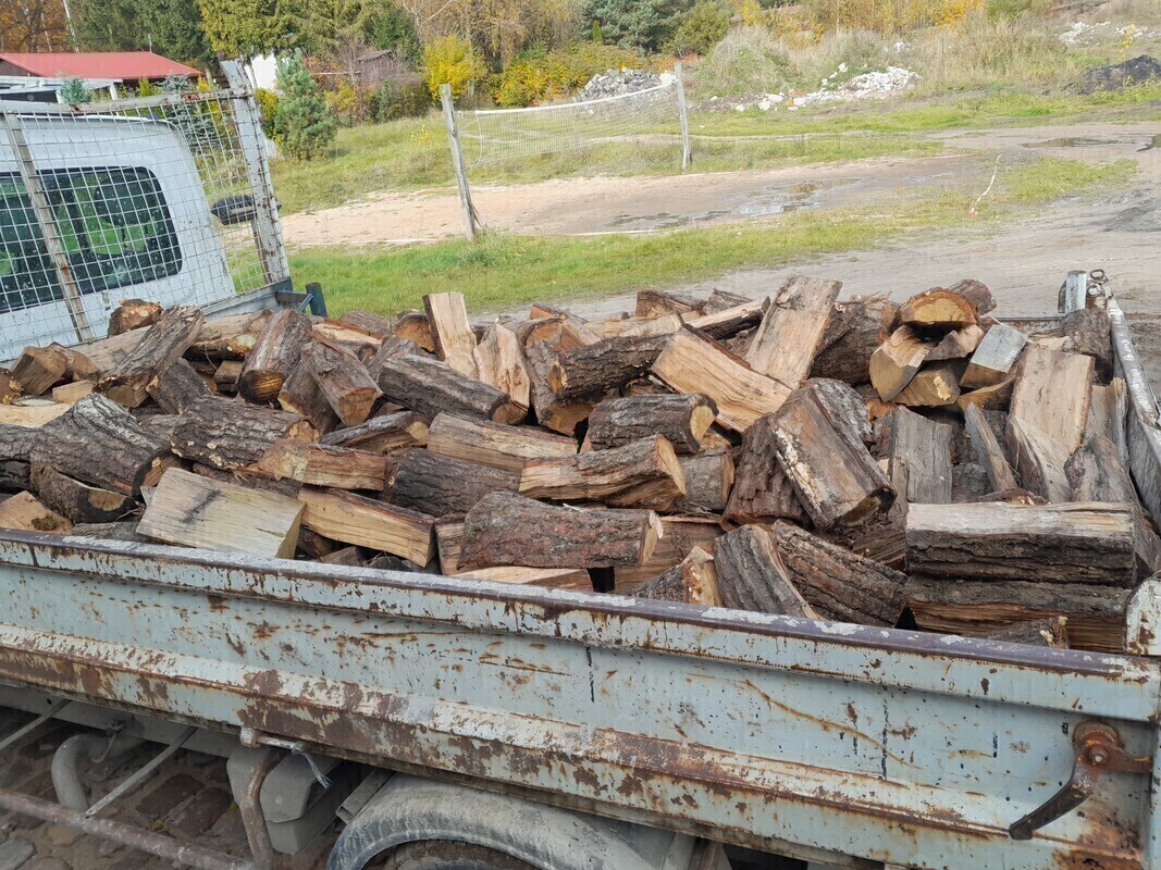 Elbląg SPRZEDAM DĄB NA OPAŁ