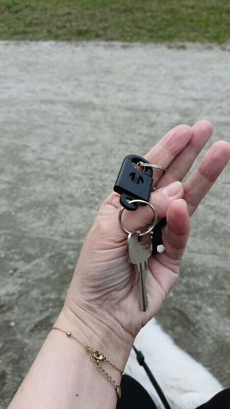 Elbląg Znaleziono klucz do mieszkania z brelokiem w parku zabaw na Mickiewicza. .. Elbląg