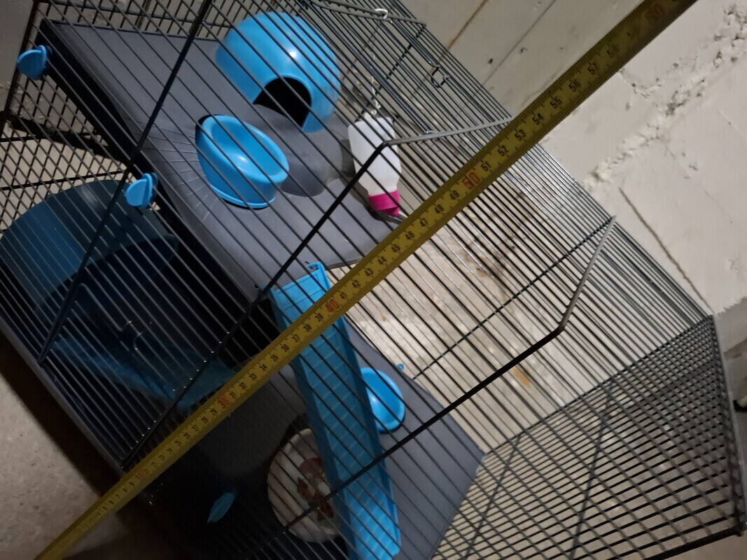 Elbląg Sprzedam praktycznie nową klatke na chomika wraz z kontenerkiem do transportu.