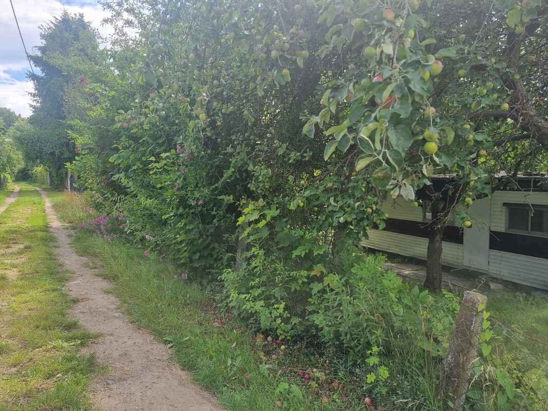 Elbląg 🌳 Sprzedam działkę ROD przy ul. Kościuszki 46 🌞Powierzchnia: 330 mkw | Prąd