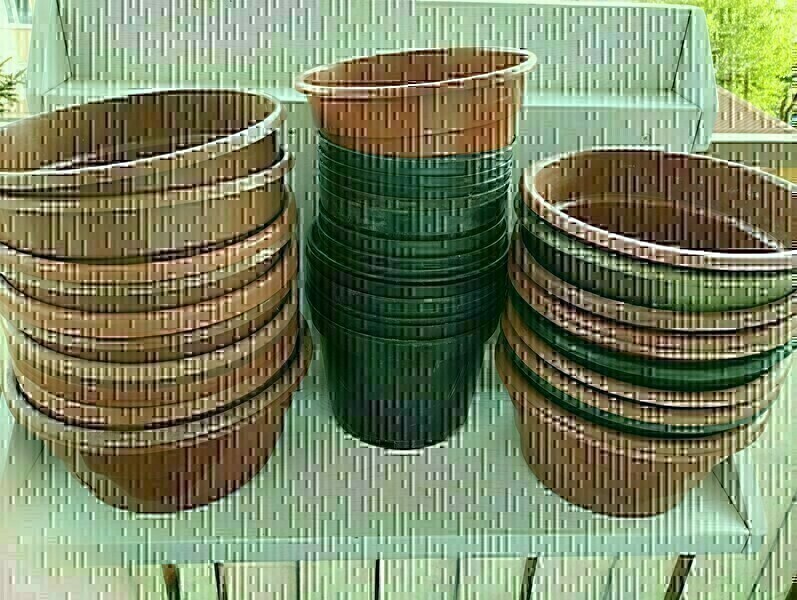 Elbląg Sprzedam doniczki - 40 szt. - cena za całość 20zł. Lub zaproponuj coś w zamian.