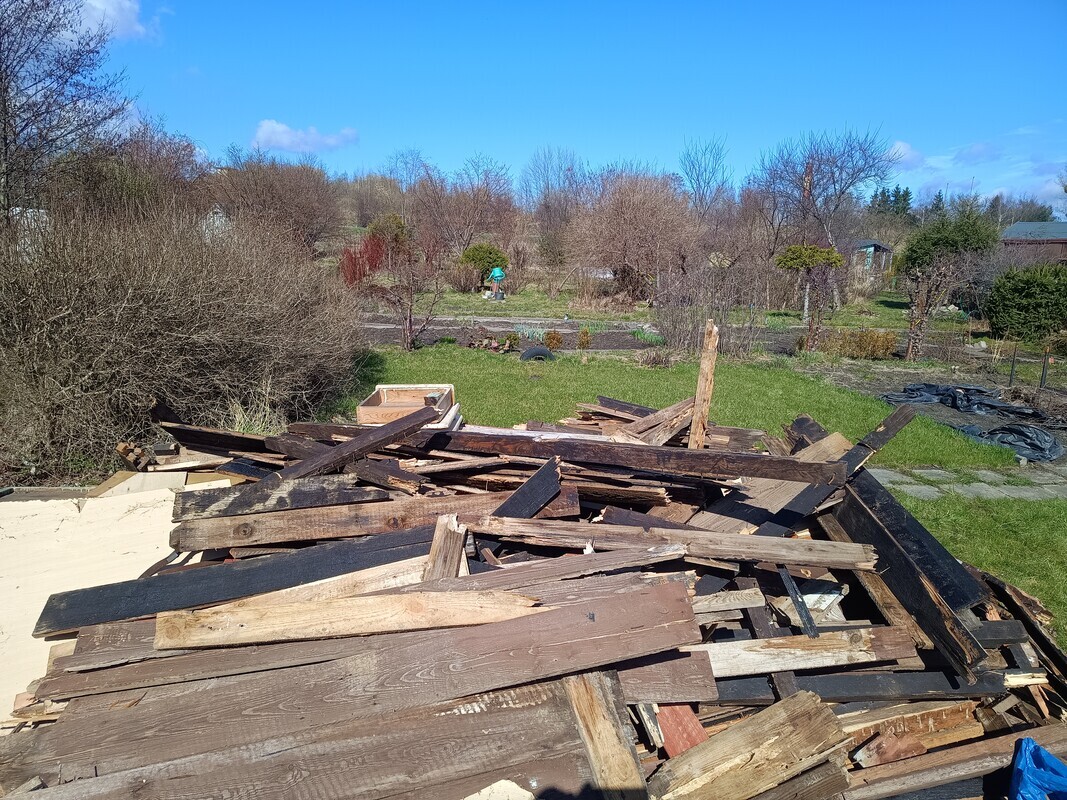 Elbląg Oddam drzewo do palenia transport w swojim zakresie. Pomogę załadować