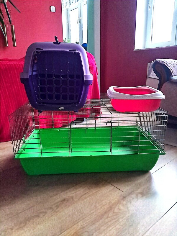 Elbląg Oddam za 120 zł komplet dla zwierzątka, klatka, transporter, kuweta. Wymiary klatka dł 75 cm, szer 45 cm, wys