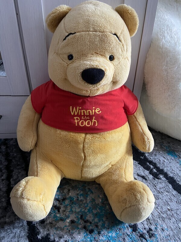 Elbląg Mis
Winnie The Pooh
Kubuś Puchatek
Około 60 cm
Jak nowy