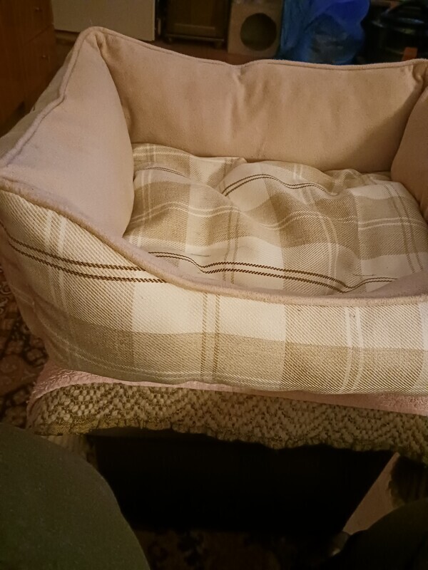 Elbląg Sprzedam legowisko dla psa/kota bardzo mało używane, łatwe w utrzymaniu czystości, dobre gatunkowo. W gratysie