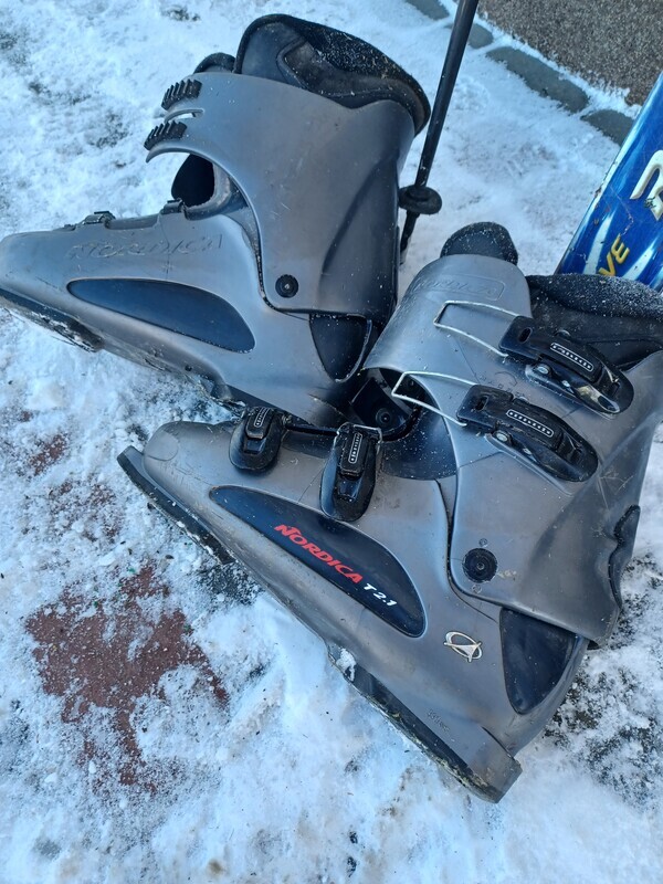 Elbląg Sprzedam narty buty kije.