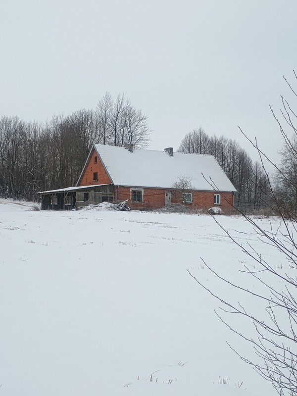 Elbląg Sprzedam 20 hektarów gruntów rolnych położonych we wsi Ząbrowiec gmina Godkowo powiat elbląski. Większość