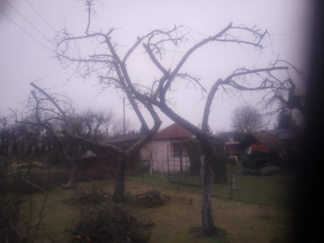 Elbląg PODEJME SIĘ PRAC W OGRODZIE. MOGE PRZYCIĄĆ DRZEWKA, KRZEWY, OGRODOWE ROZBIÓRKI. .