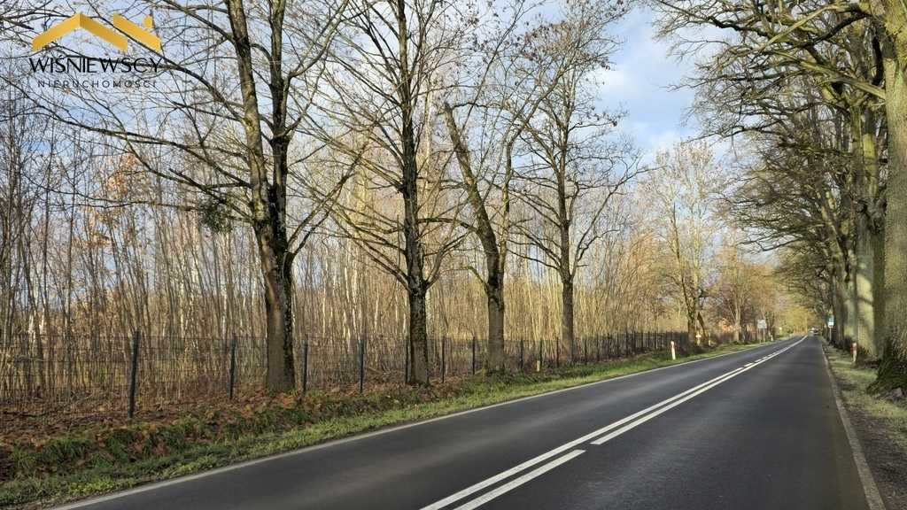 Elbląg WIŚNIEWSCY NIERUCHOMOŚCI Sp. z o.o.Sprzedam działkę - Dawidy.&nbsp;Oferta sprzedaży działki rolnej z decyzją o