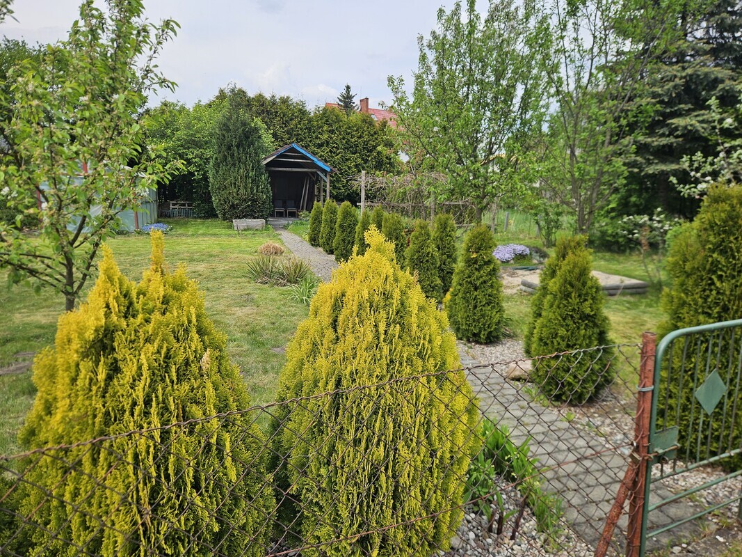 Elbląg Dzialka ROD im Kopernika przy ul. Klonowej. Działka zadbana i ogrodzona, z dostępem do prądu i wody.
Na