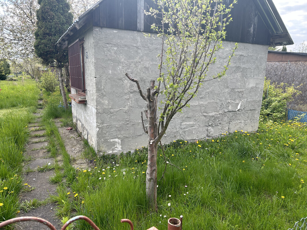 Elbląg Działka z potencjałem i murowaną altaną &ndash; ROD &bdquo; Rekreacja&rdquo; , ul. Skrzydlata