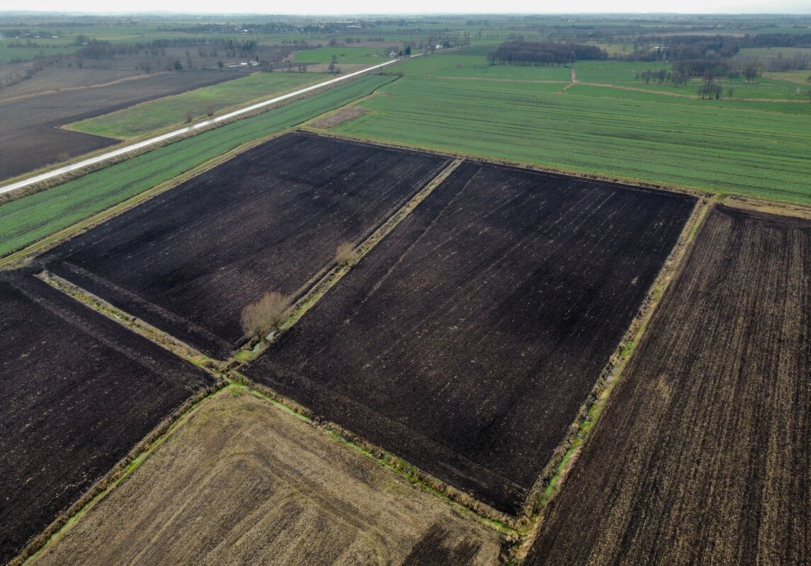 Elbląg NIERUCHOMOŚCI ANNA KRASZEWSKAGrunty rolne na sprzedaż 11,65 haSzopy, gm. Gronowo Elbląskie, powiat elbląski
