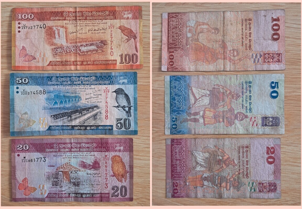Elbląg Zestaw 3 Egzotycznych Banknotów ze Sri Lanki - Ptaki, Kultura i Przyroda
100 Rupii (2010): Przedstawia Drozda