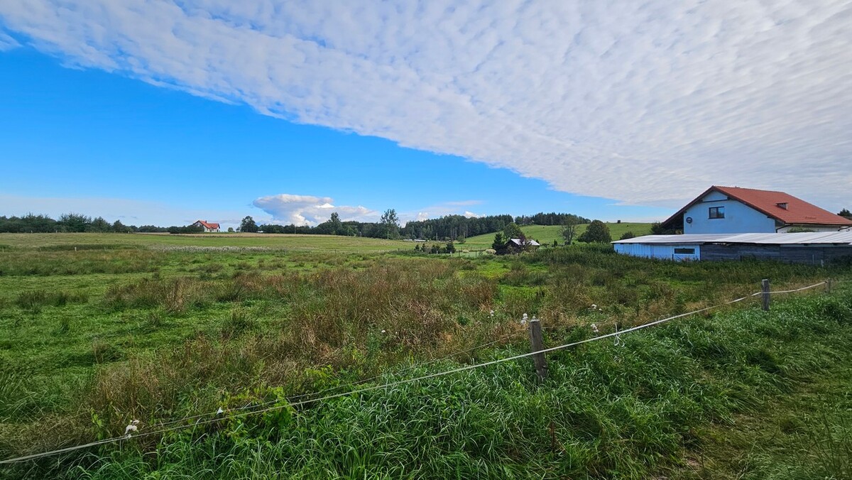 Elbląg BIURO NIERUCHOMOŚCISZULC& SZULCDziałka budowlana - Majewo /gmina Milejewo/Powierzchnia działki: 3000