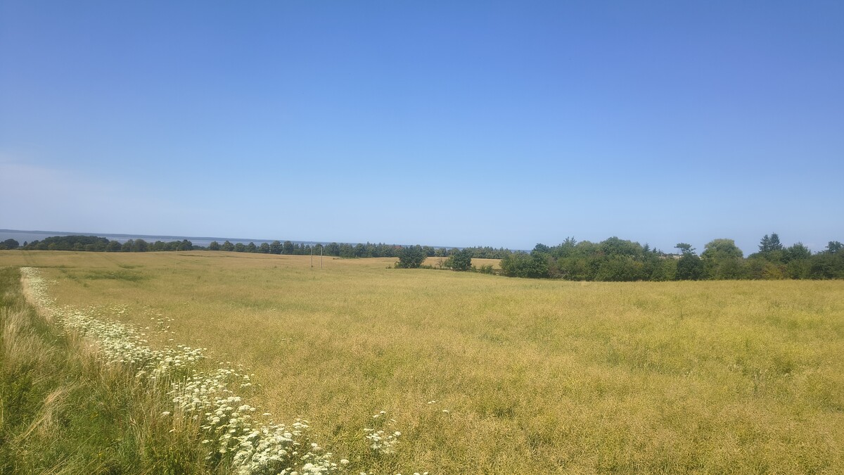 Elbląg Działki rolno-budowlane 10ha, widok na Zalew Wiślany, 30zł/m2!