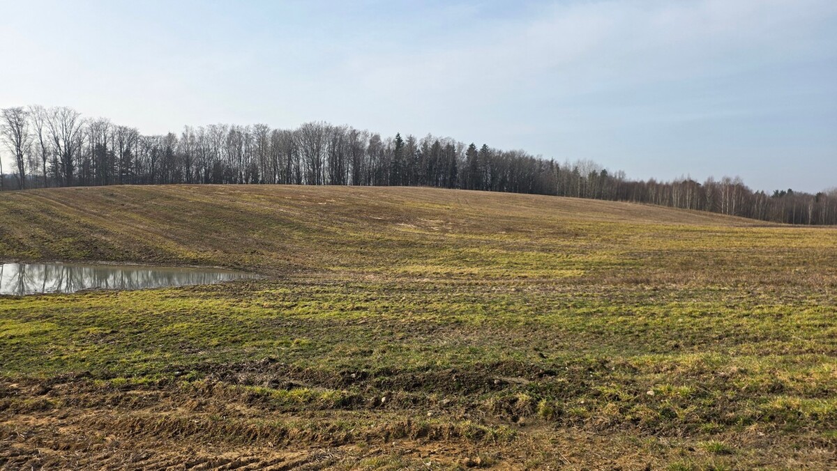 Elbląg SZULC & SZULC BIURO NIERUCHOMOŚCI NA SPRZEDAŻDziałka budowlana - Stare Monasterzysko