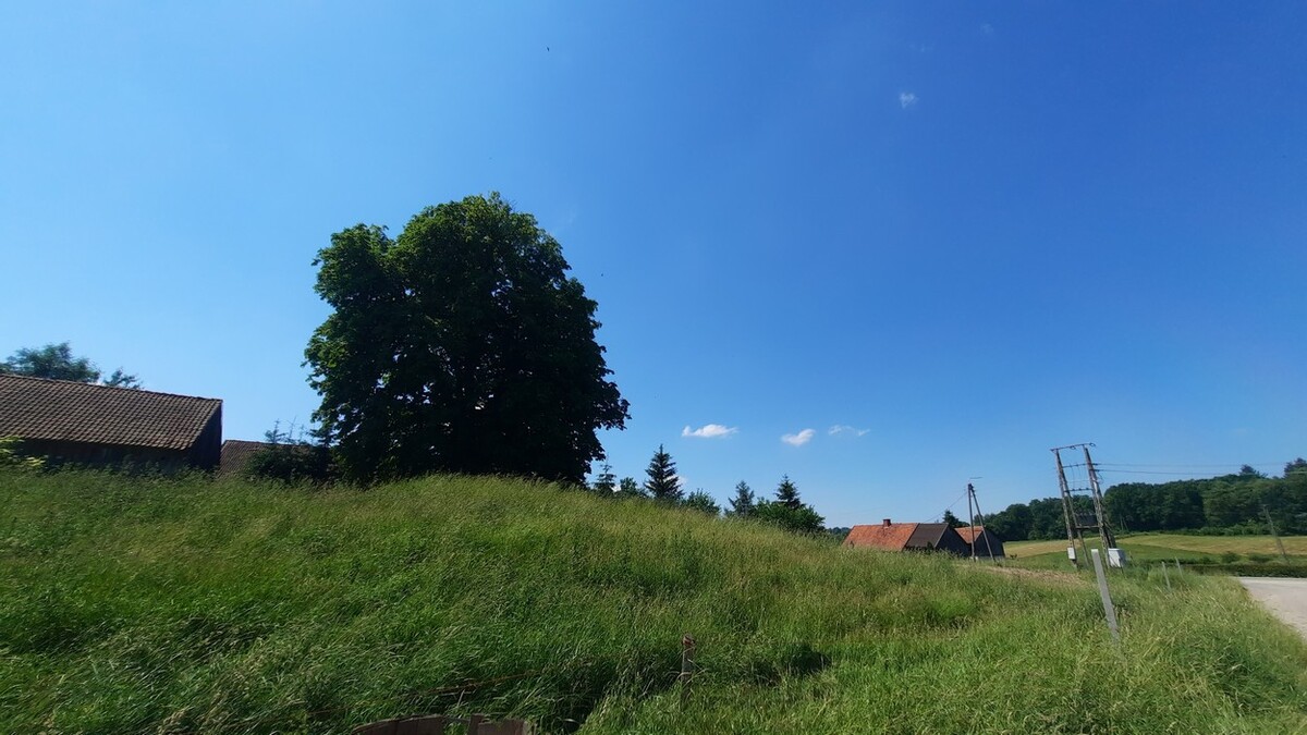 Elbląg SZULC & SZULC BIURO NIERUCHOMOŚCI NA SPRZEDAŻ Działka budowlana - Rychnowy,