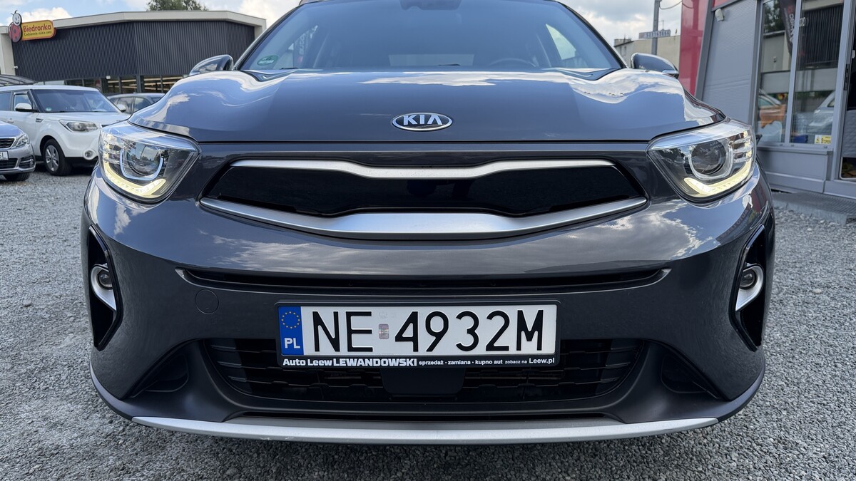 Elbląg Auto Leew LEWANDOWSKI