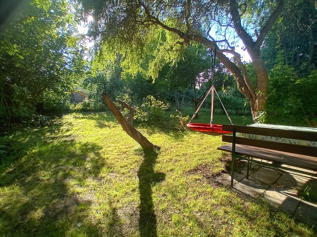 Elbląg 🌳 Wyjątkowo duża, piękna działka z altanką w okazyjnej cenie w ROD Moniuszki przy Parku Wodnym