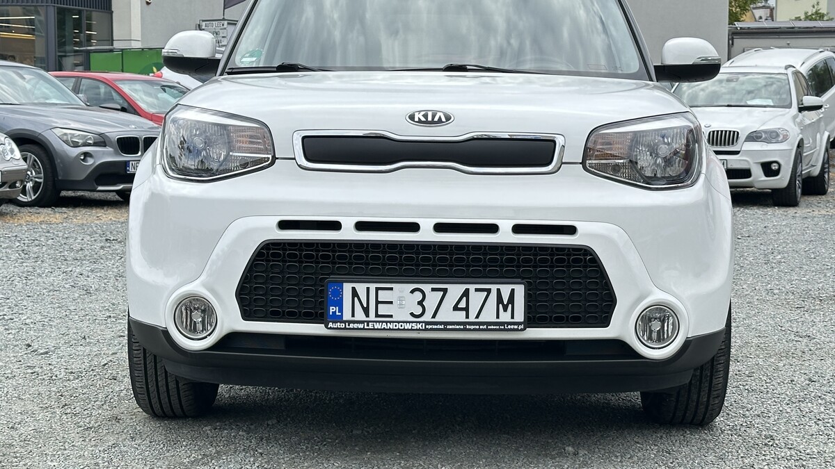Elbląg Auto LeewLEWANDOWSKI