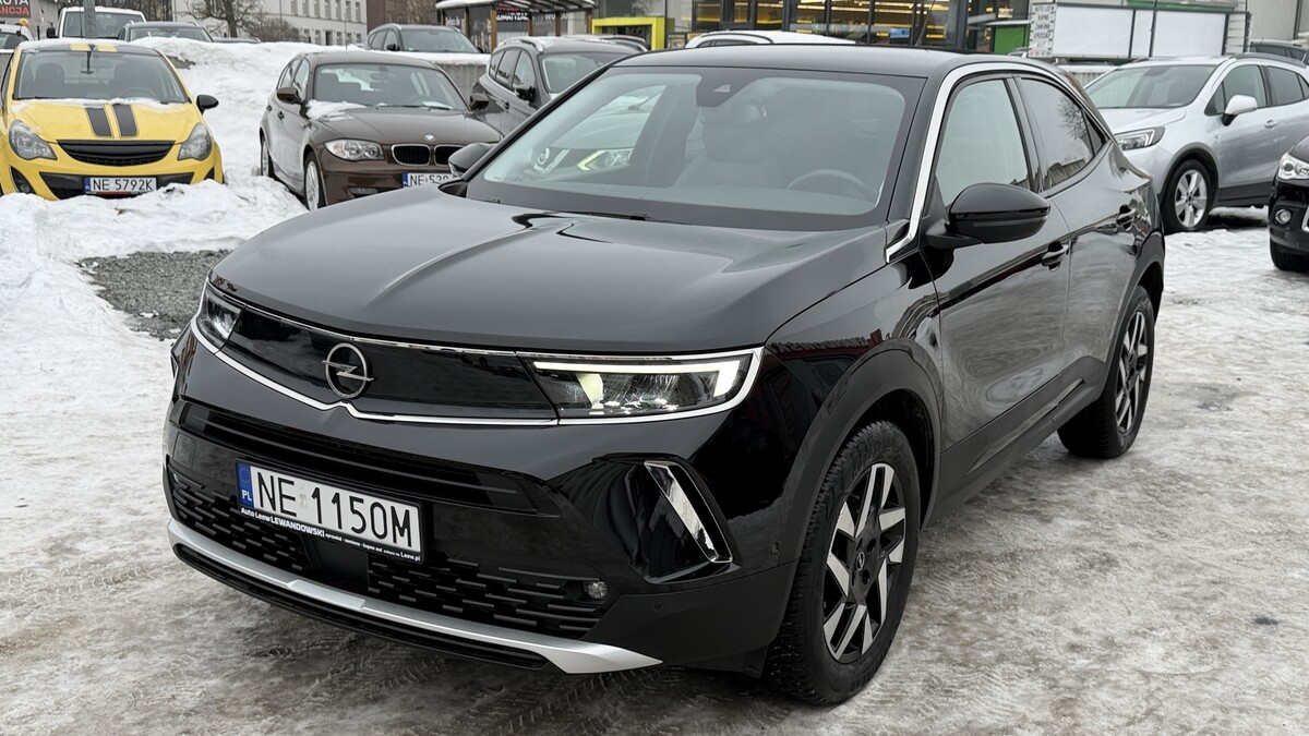 Elbląg Auto Leew LEWANDOWSKI