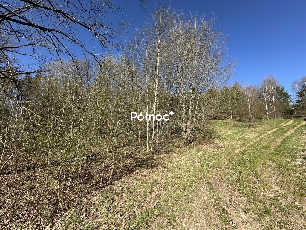 Elbląg PÓŁNOC NIERUCHOMOŚCISprzedam działkę - Glebiska. Wyjątkowa działka nad jeziorem Taftowo – Glebiska, gm.