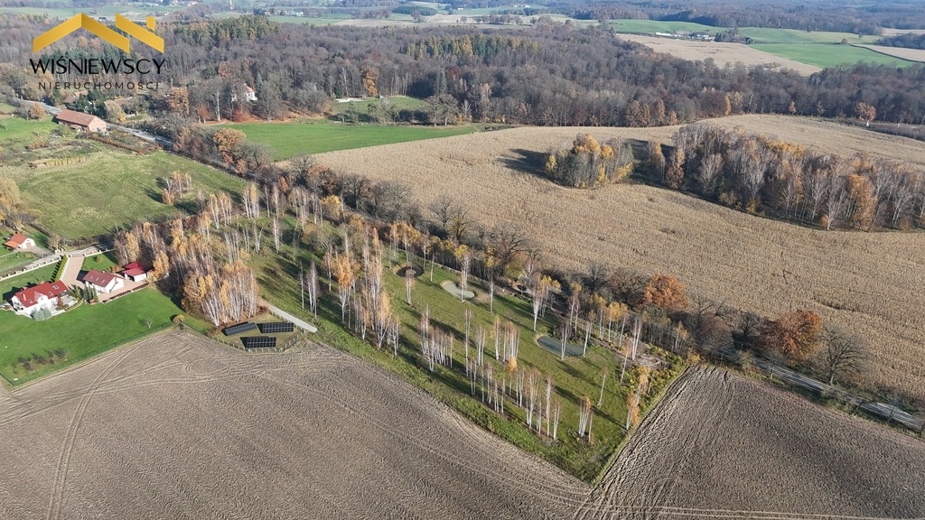 Elbląg WIŚNIEWSCY NIERUCHOMOŚCI Sp. z o.o.Sprzedam działkę - Dawidy. Oferta sprzedaży działki rolnej z wydaną