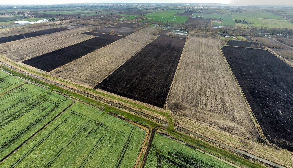 Elbląg NIERUCHOMOŚCI ANNA KRASZEWSKAGrunty rolne na sprzedaż 11,65 haSzopy, gm. Gronowo Elbląskie, powiat elbląski